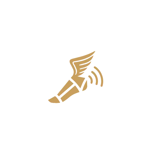 Golden winged boot logo icon for DCM Consultancy